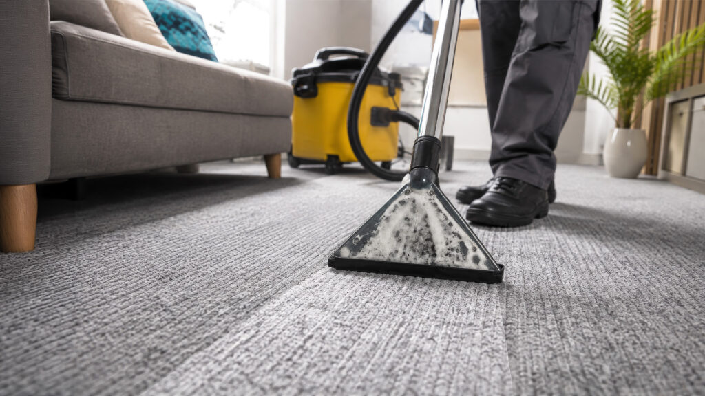 Professional carpet cleaning with vacuum equipment